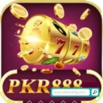 PKR 888 game icon