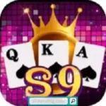 s9 game icon
