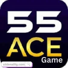 55 Ace game icon