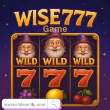 wise 777 logo