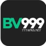 BV999 icon