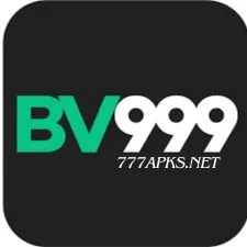 BV999 icon